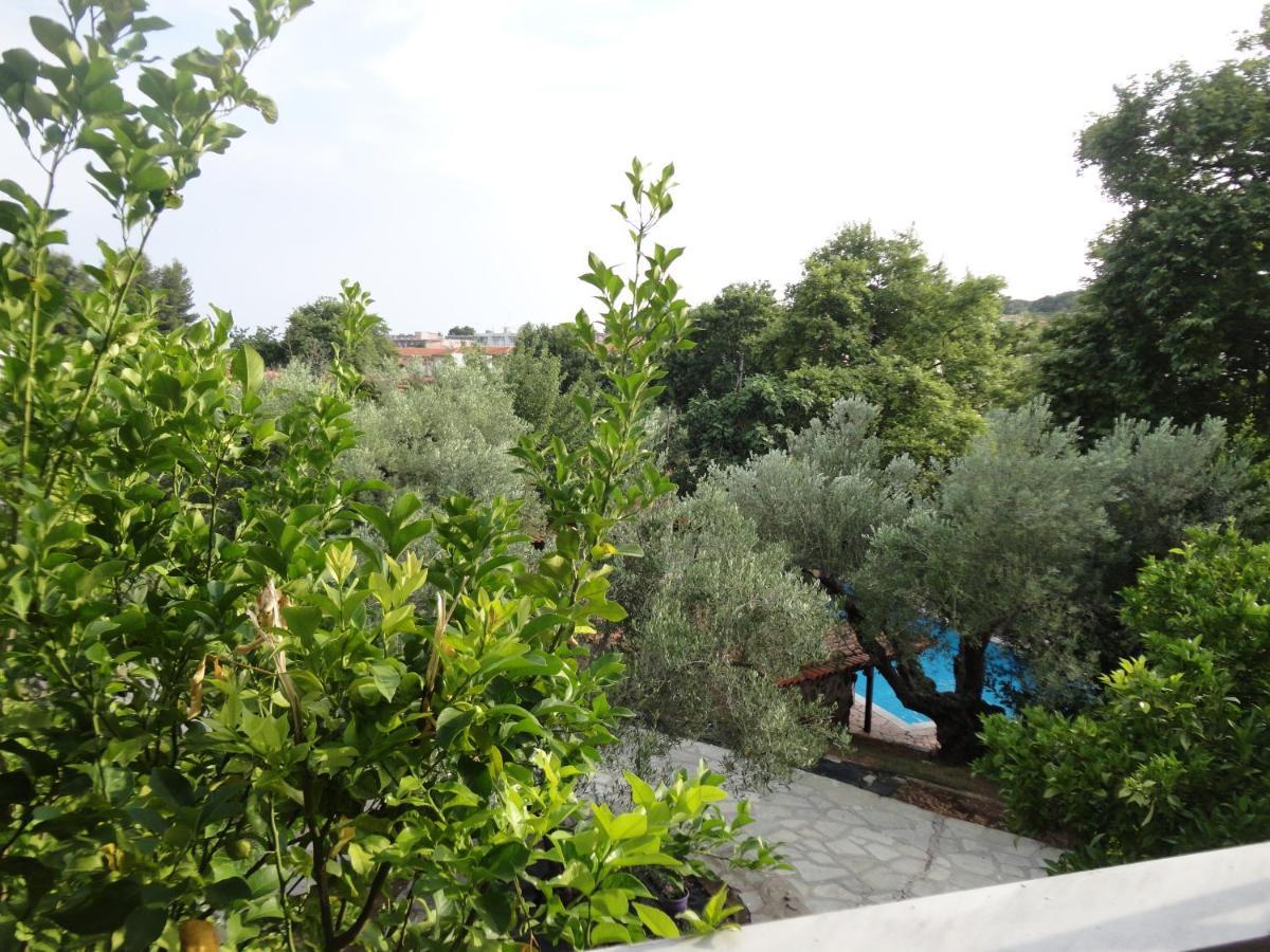Makis House Hotel Nikiti  Ngoại thất bức ảnh